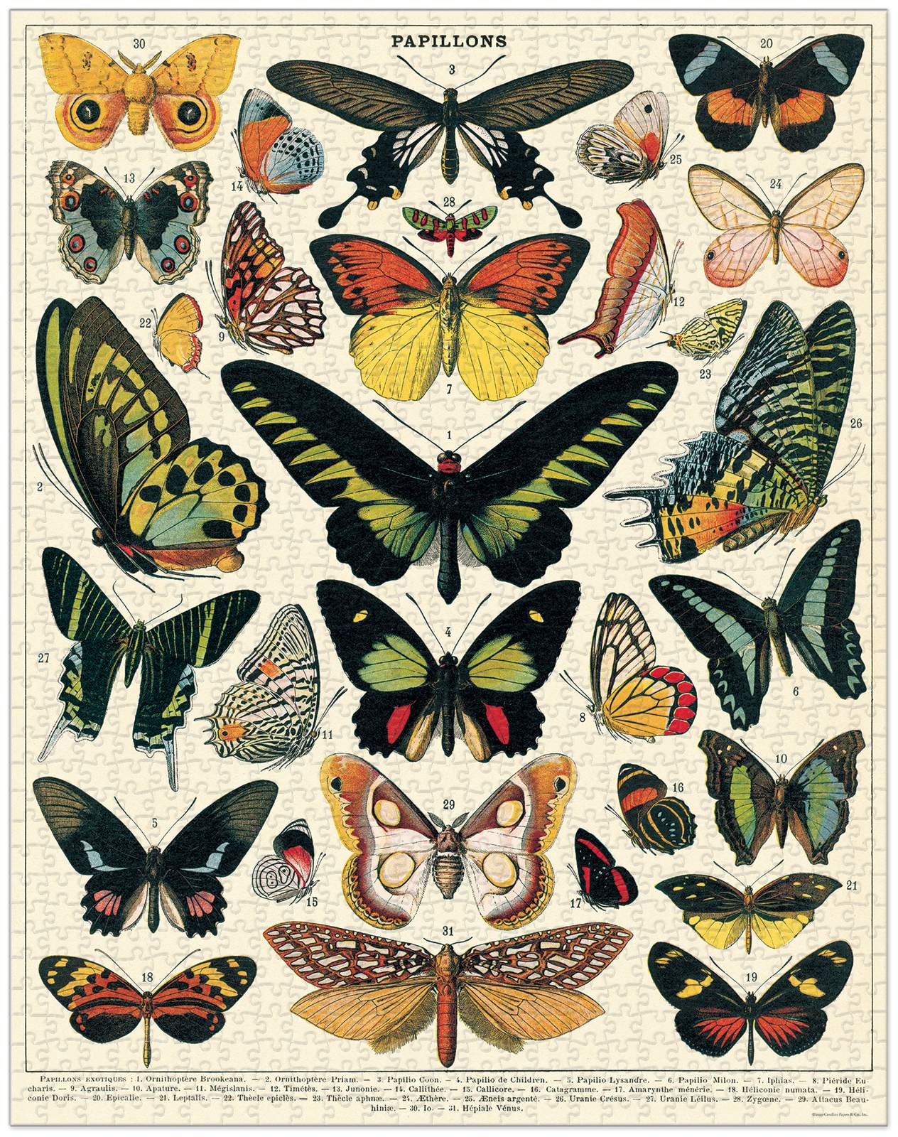 Jigsaw Puzzle - Butterflies