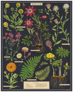 Jigsaw Puzzle - Herbarium