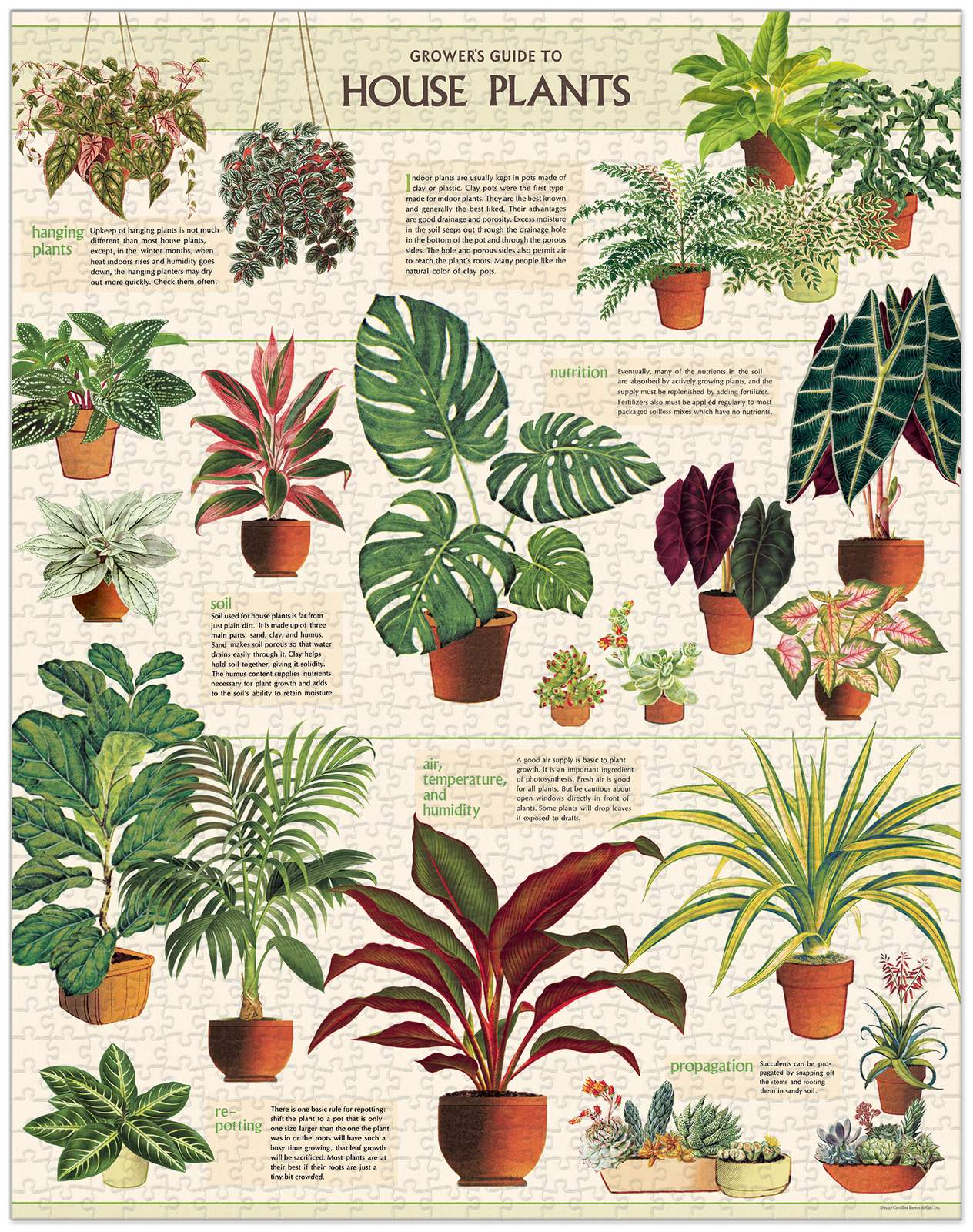 Jigsaw Puzzle - House Plants