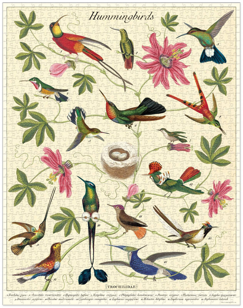 Jigsaw Puzzle - Hummingbirds
