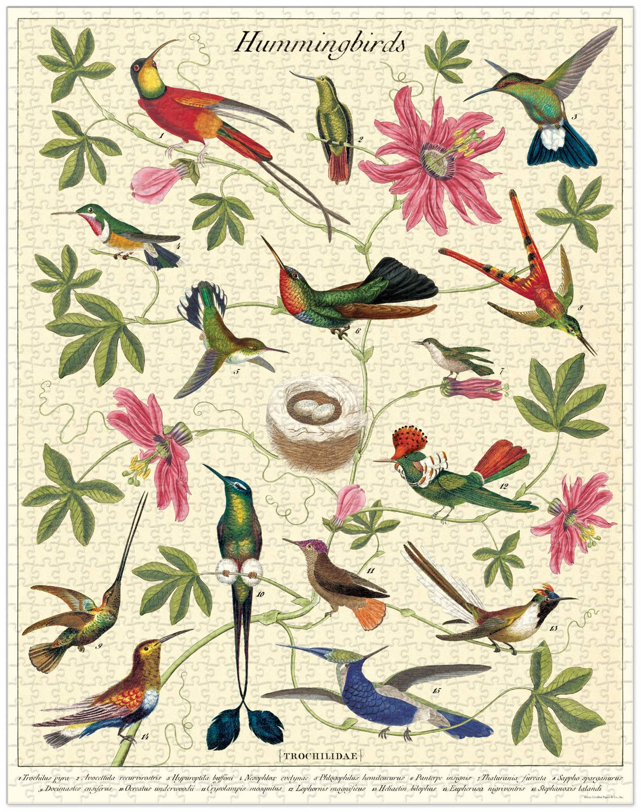 Jigsaw Puzzle - Hummingbirds