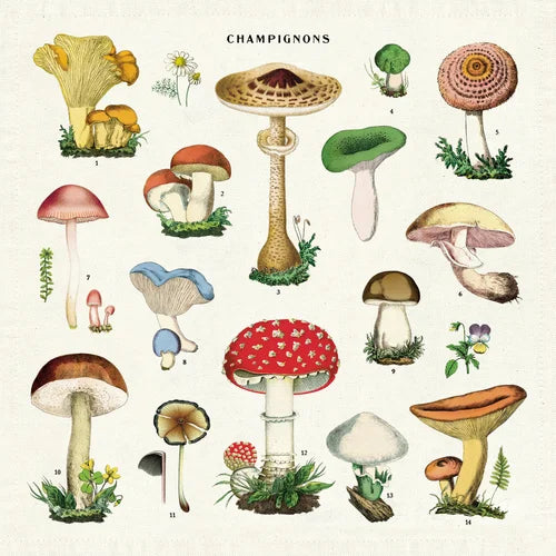 Napkins - set of 4 - Mushrooms