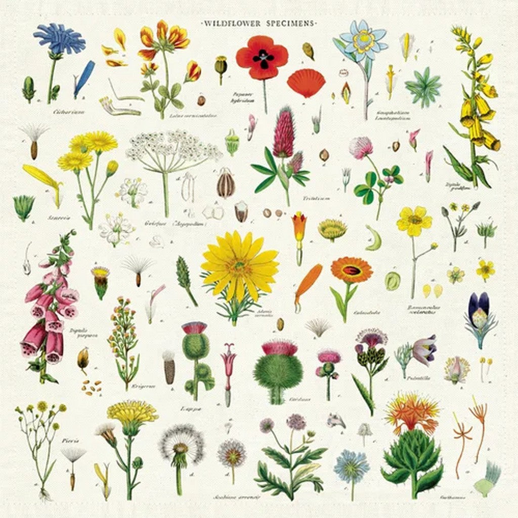 Napkins - set of 4 - Wildflowers