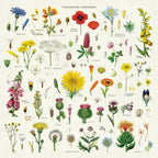 Napkins - set of 4 - Wildflowers