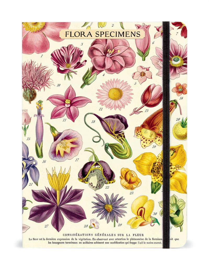 Cavallini - Notebook - Flora Specimens