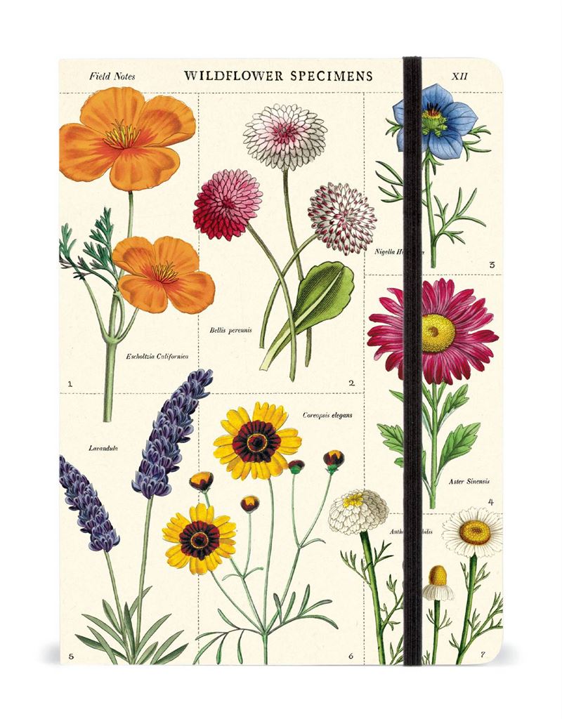 Cavallini - Notebook - Wildflowers