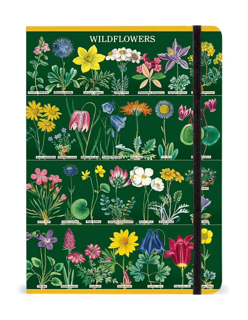 Cavallini - Notebook - Wildflower Specimens
