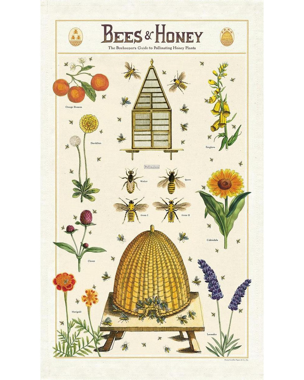 Tea Towel - Bees & Honey