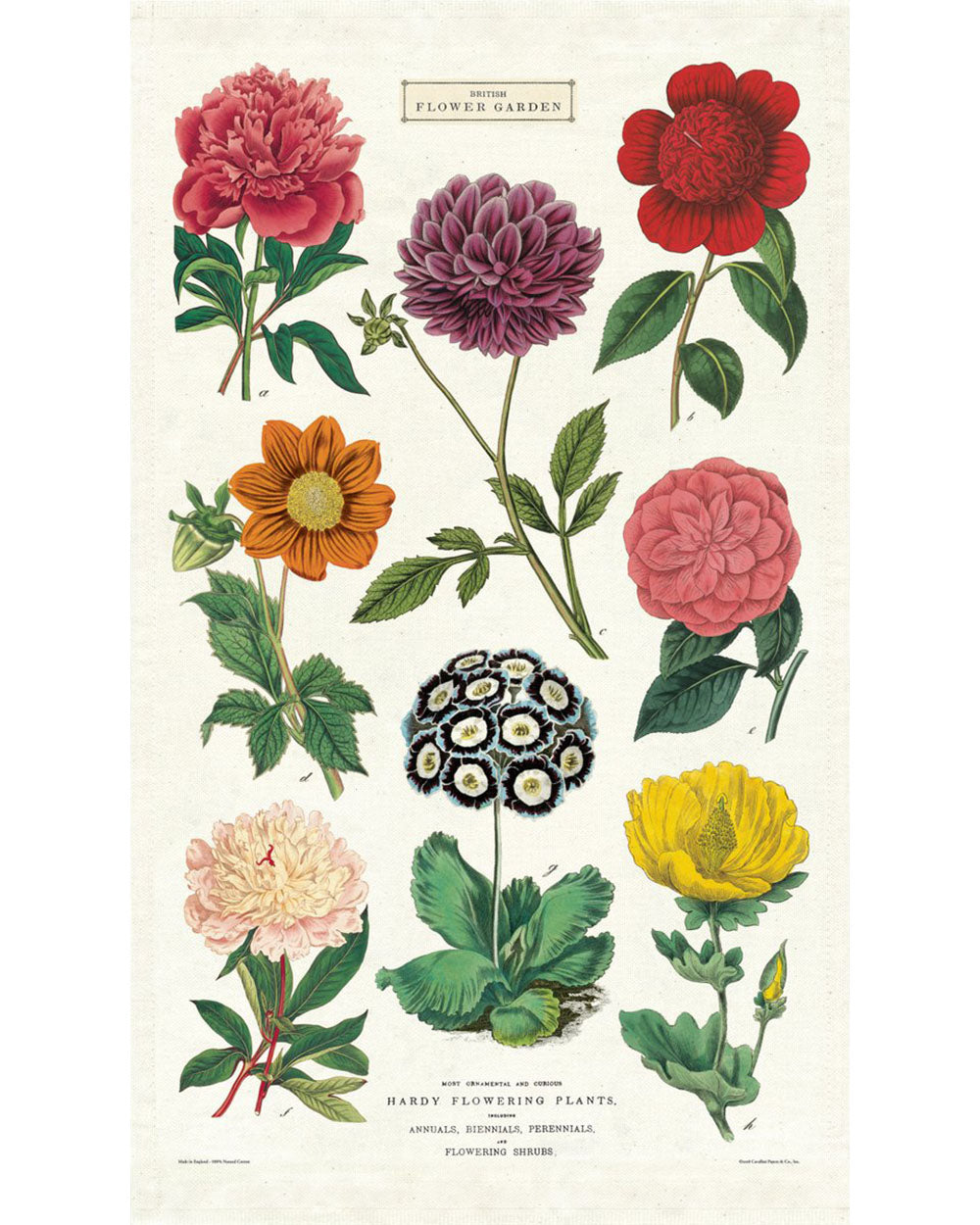 Tea Towel - Botanica