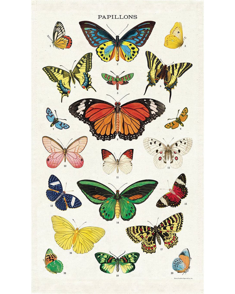 Tea Towel - Butterflies 2