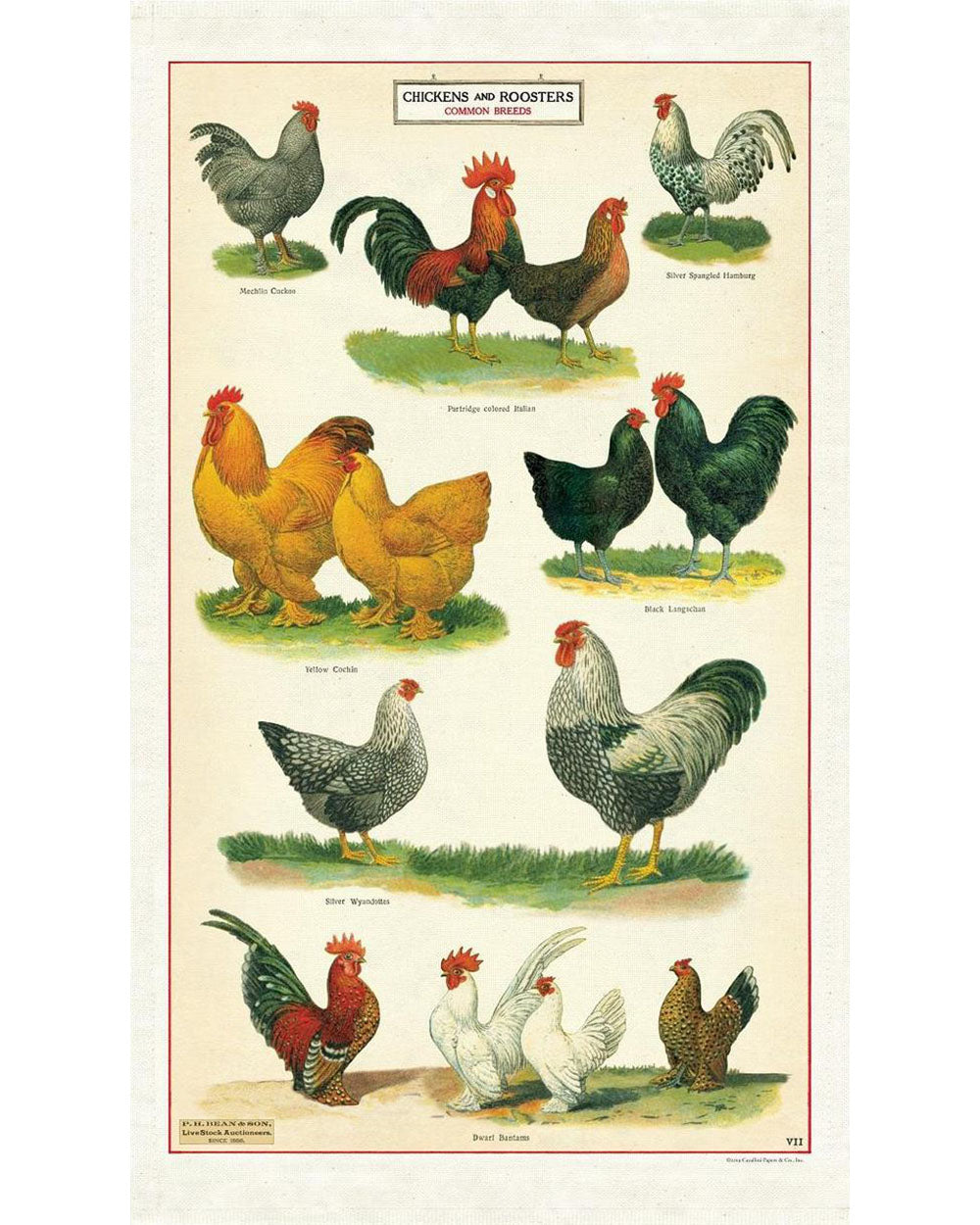 Tea Towel - Chickens & Roosters