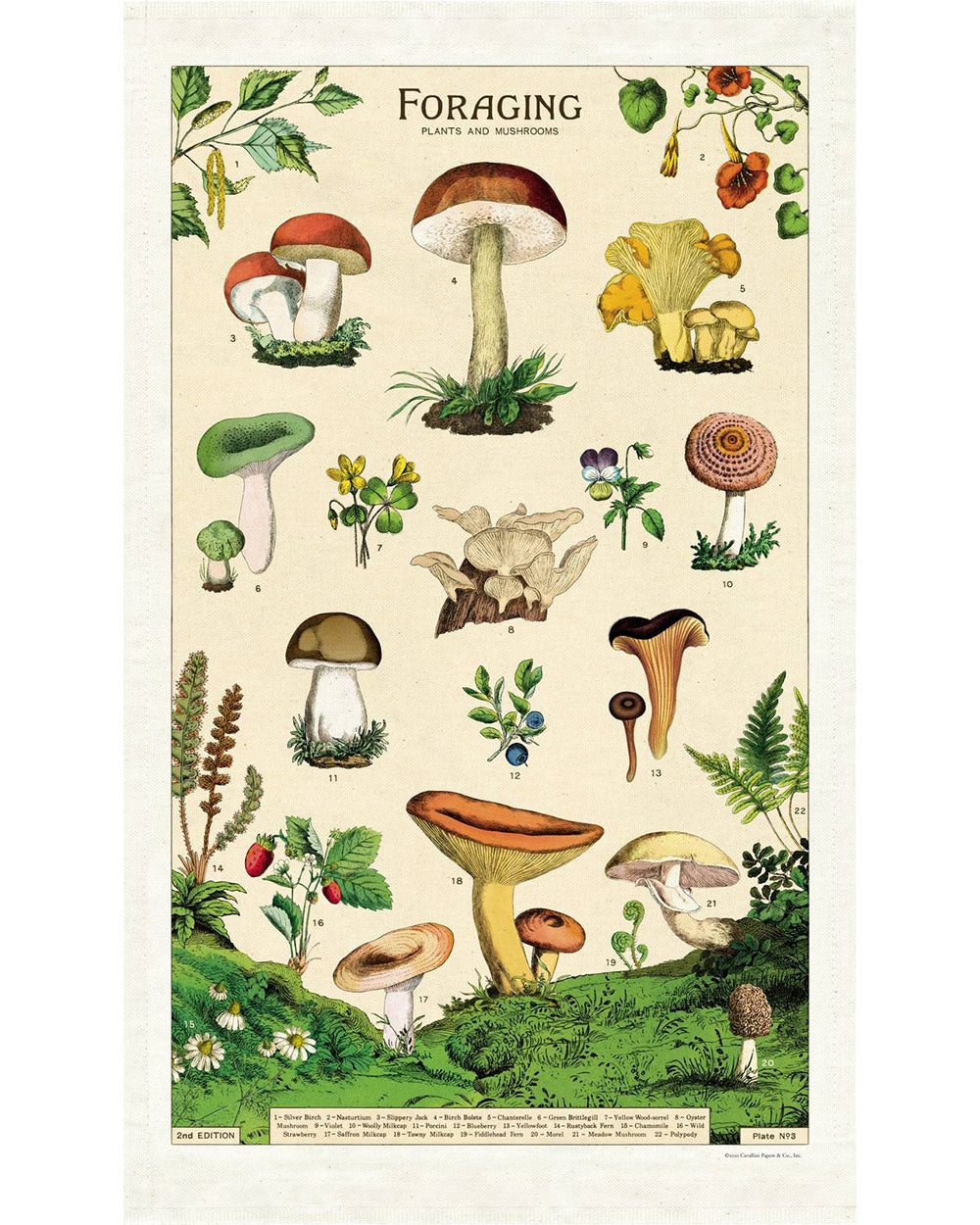 Tea Towel - Foraging
