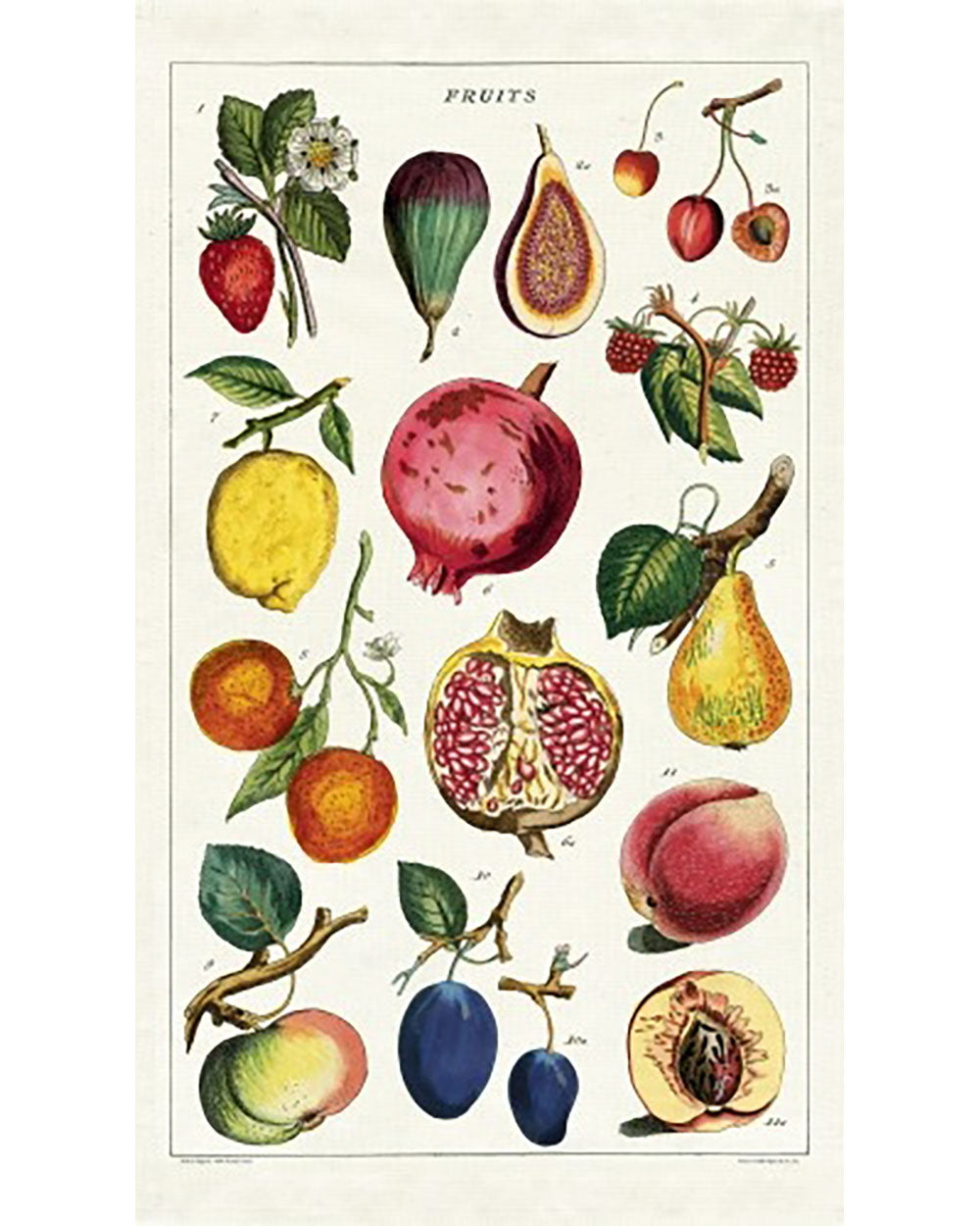 Tea Towel - Fruit