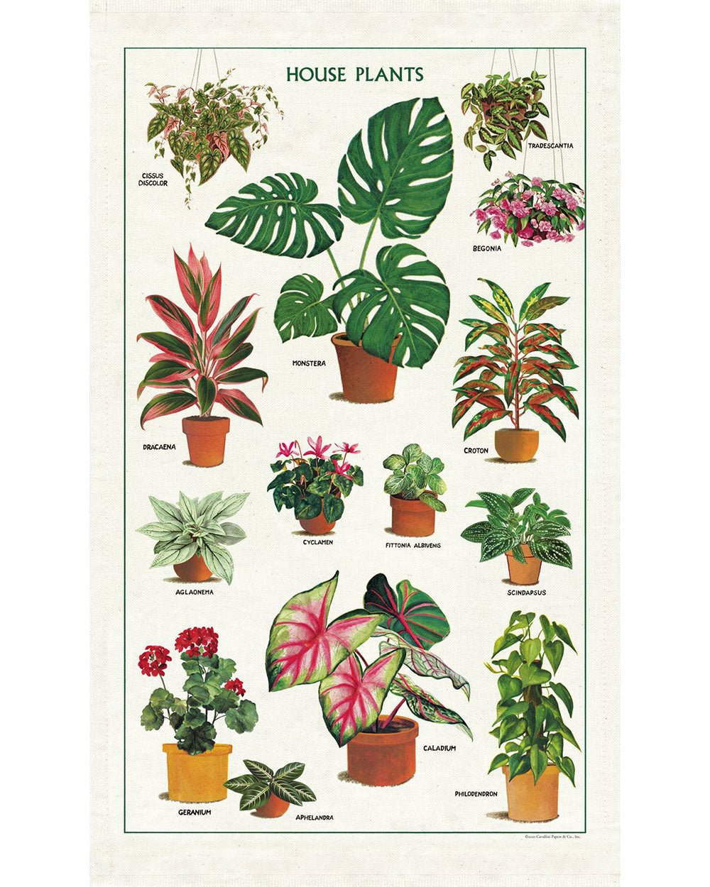 Tea Towel - House Plants