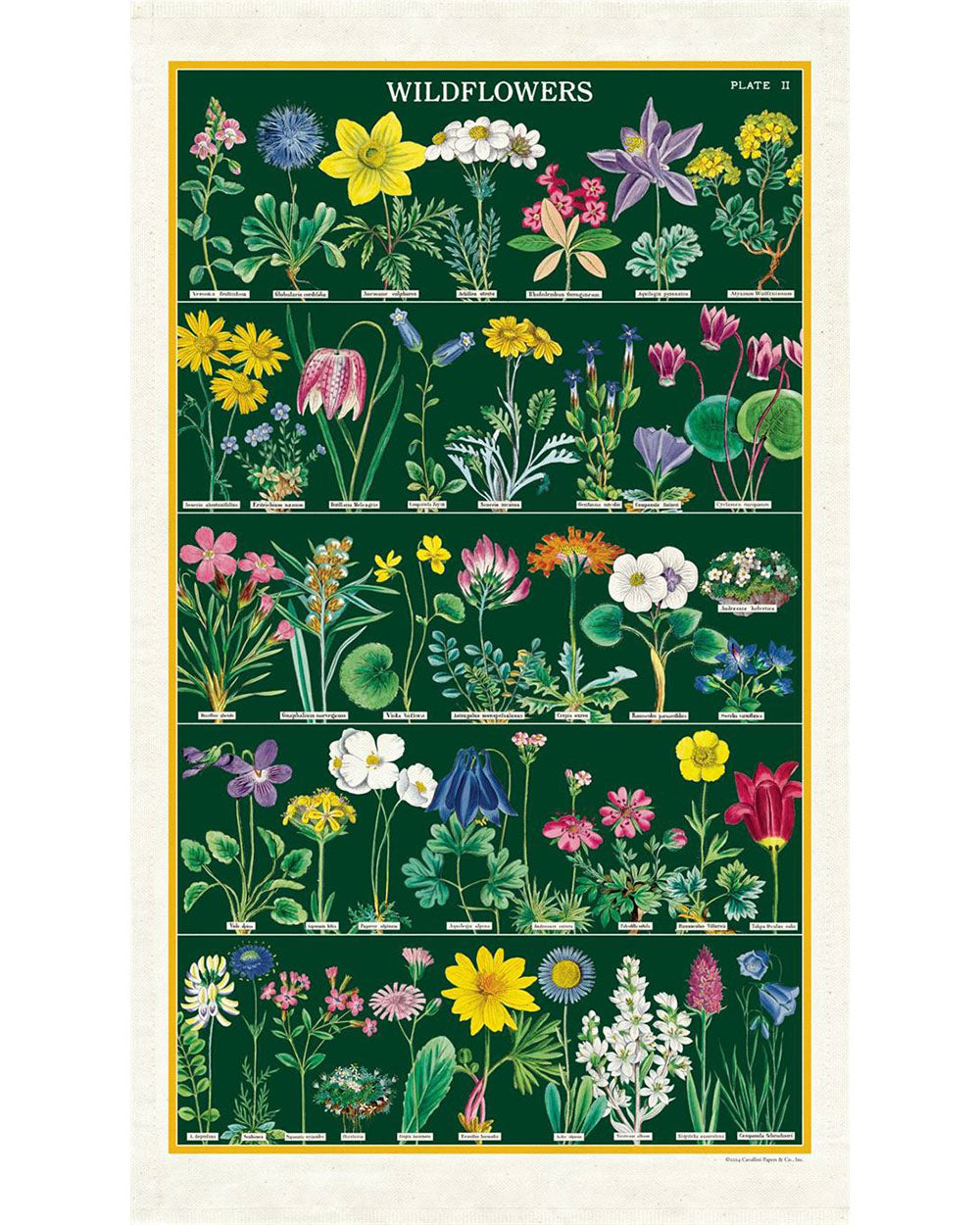 Tea Towel - Wildflowers 2
