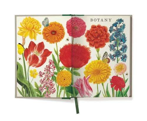C - Window Notebook - Botany