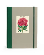 C - Window Notebook - Botany