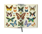 C - Window Notebook - Butterflies