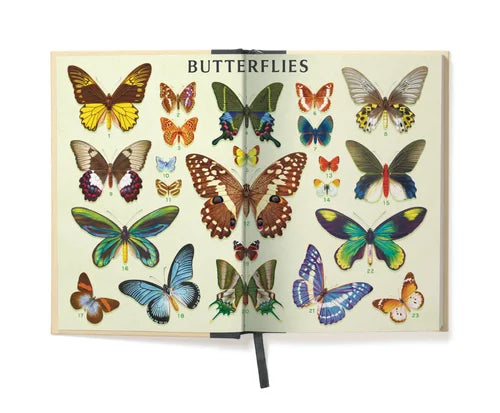 C - Window Notebook - Butterflies
