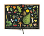 C - Window Notebook - Foraging