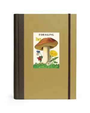 C - Window Notebook - Foraging