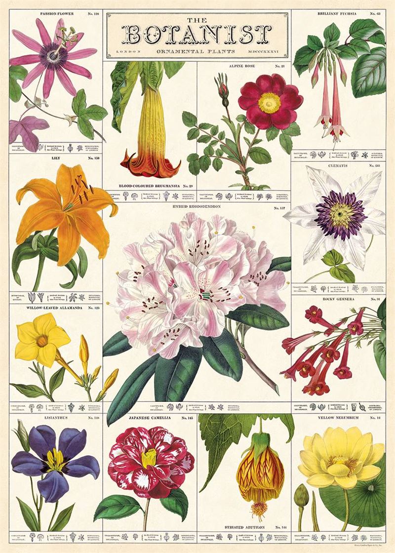 Poster - The Botanist