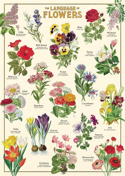 Poster - Language of Flowers