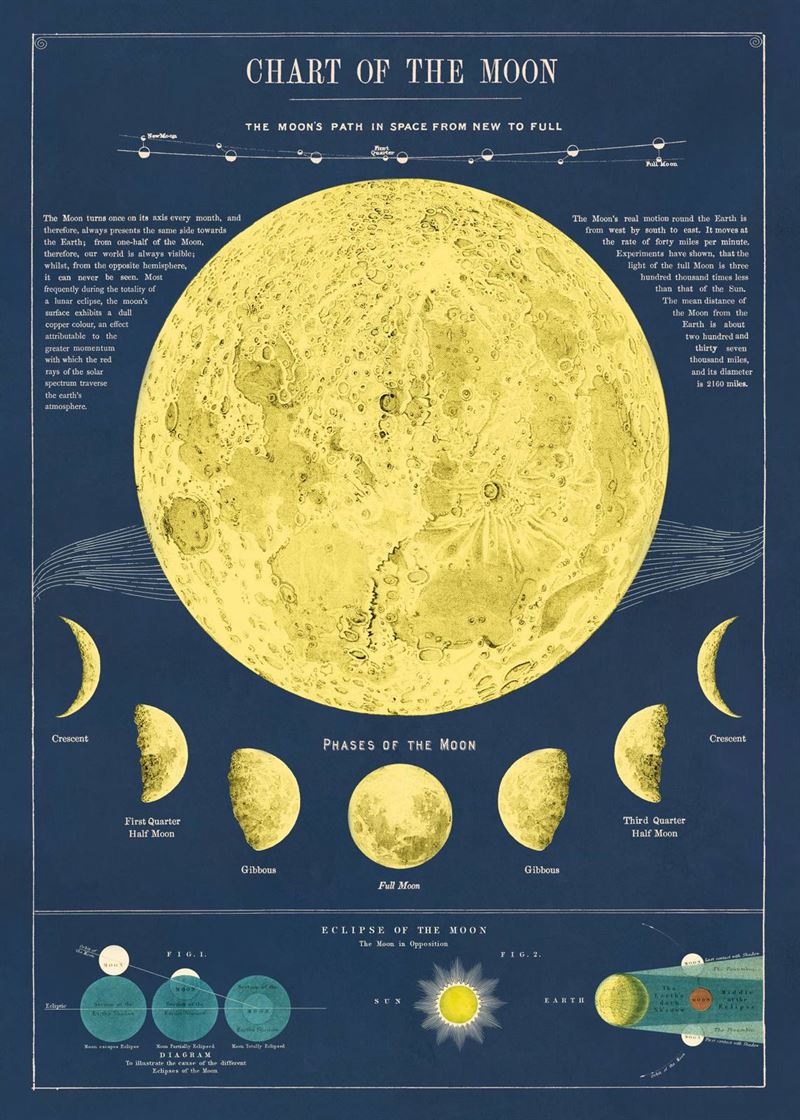 Moon Chart Graph Poster - Moon Chart – Passion For Paper