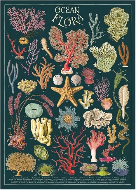 Poster - Ocean Flora