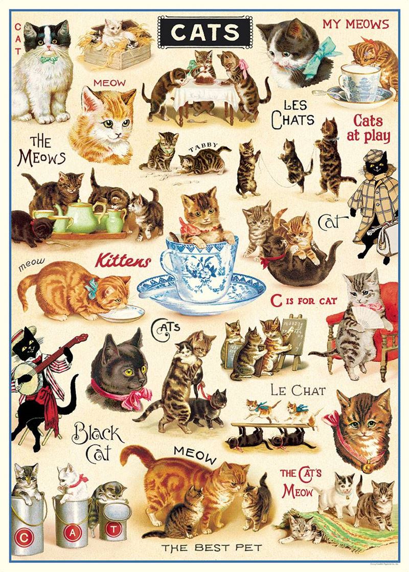 Poster - Vintage Cats