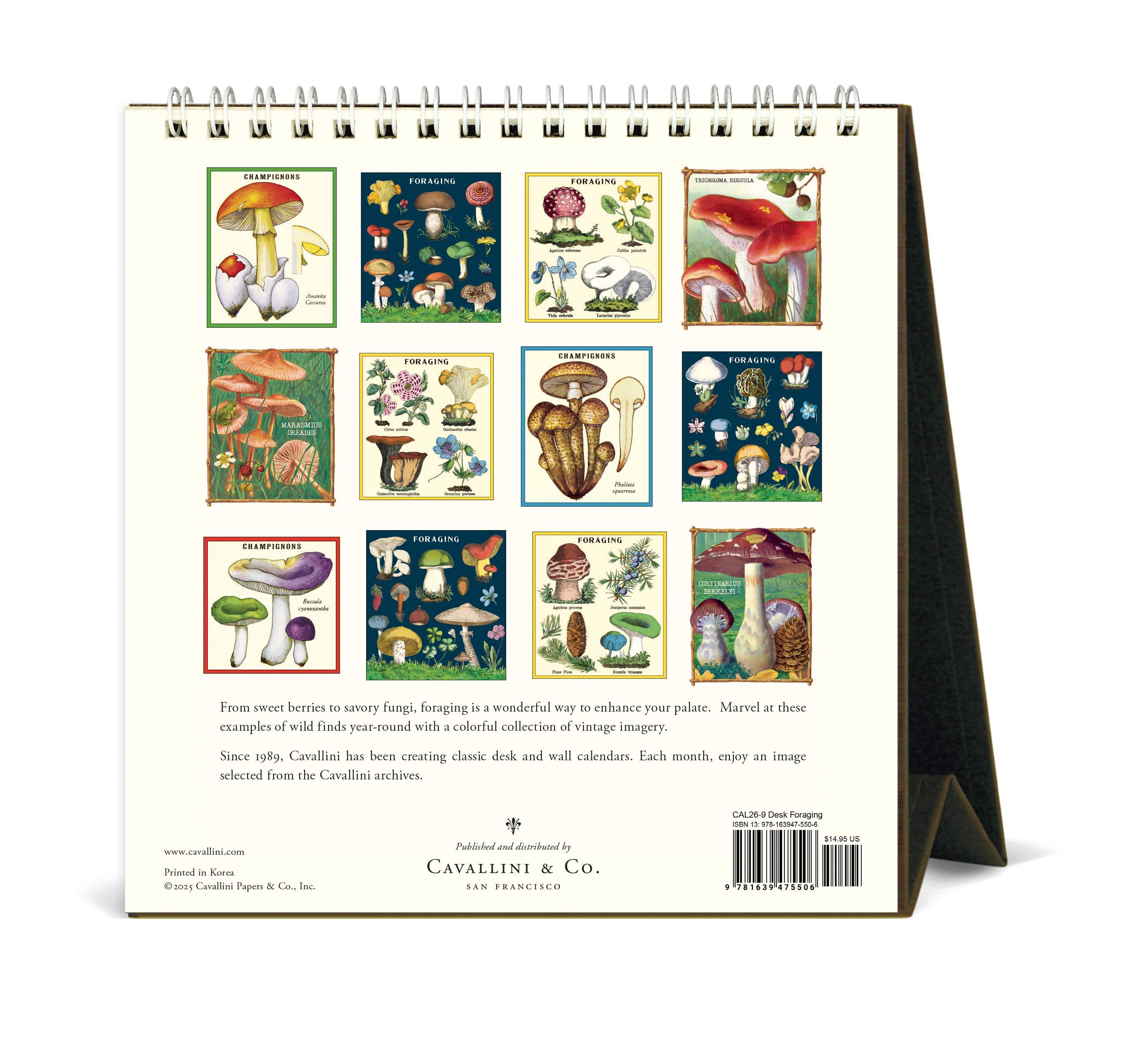 Desk Calendar - Foraging