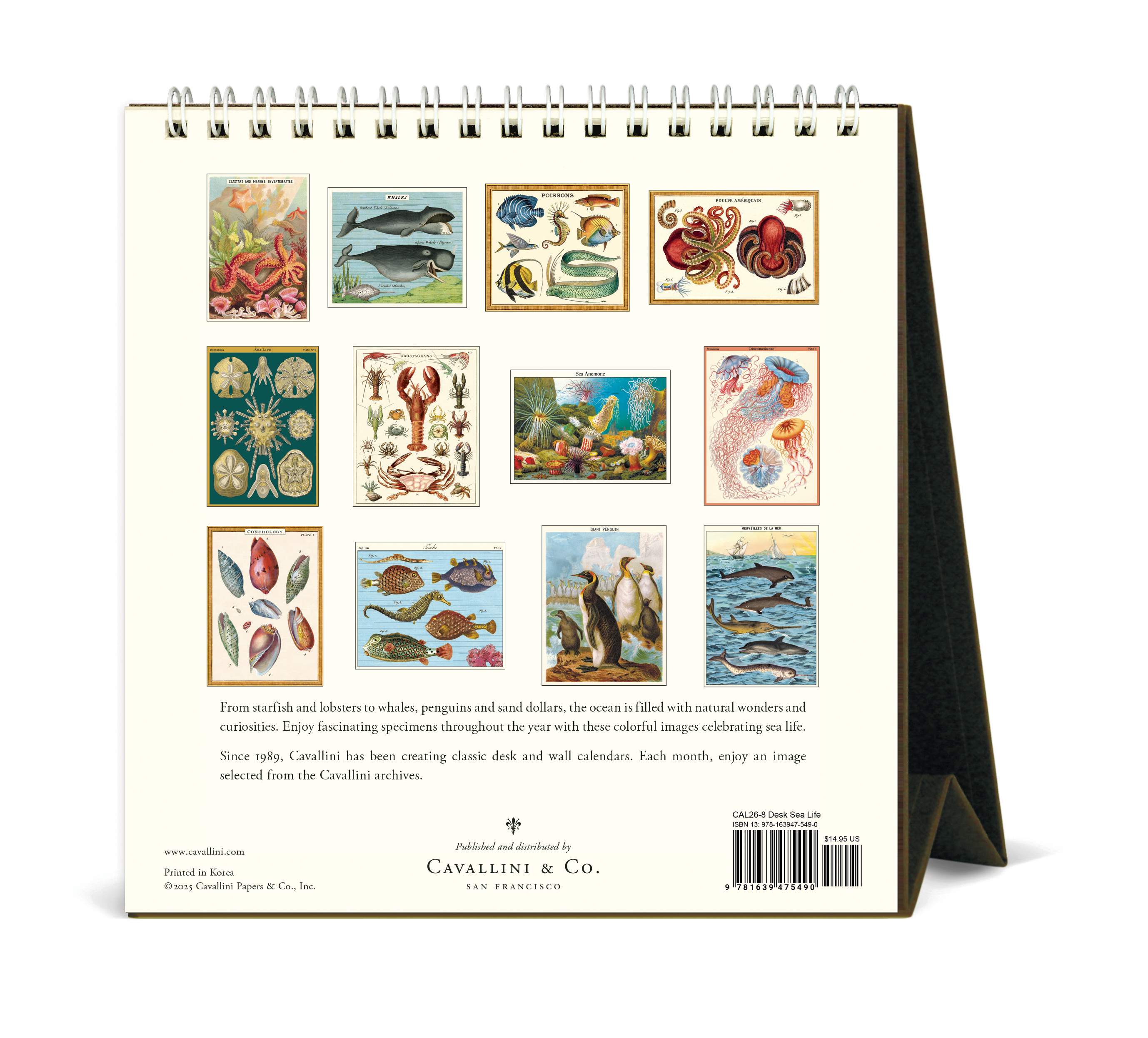 Desk Calendars - Sea Life