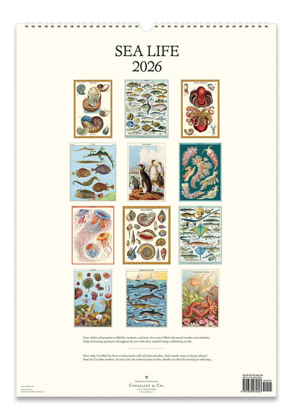 Wall Calendar - Sea Life