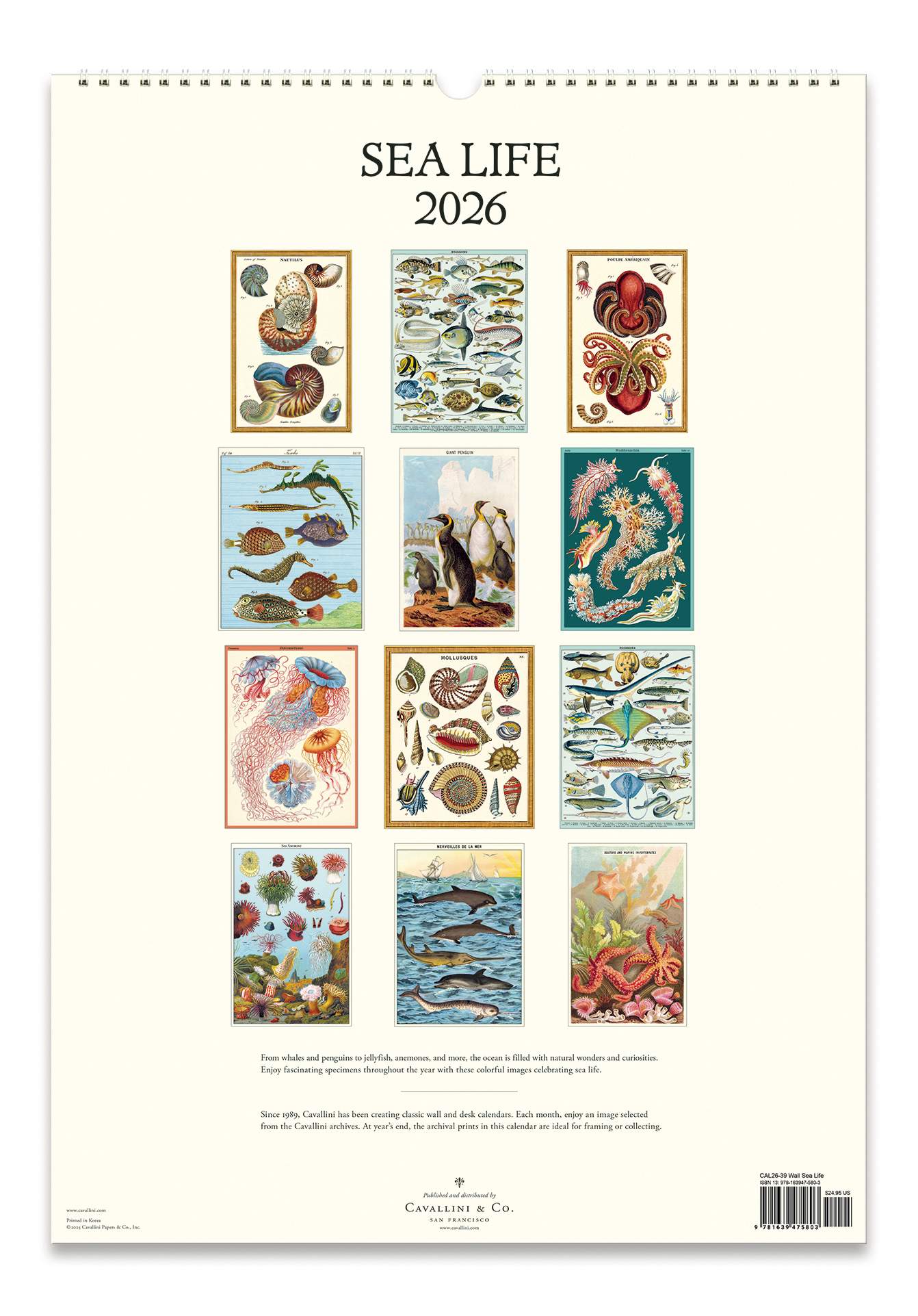 Wall Calendar - Sea Life