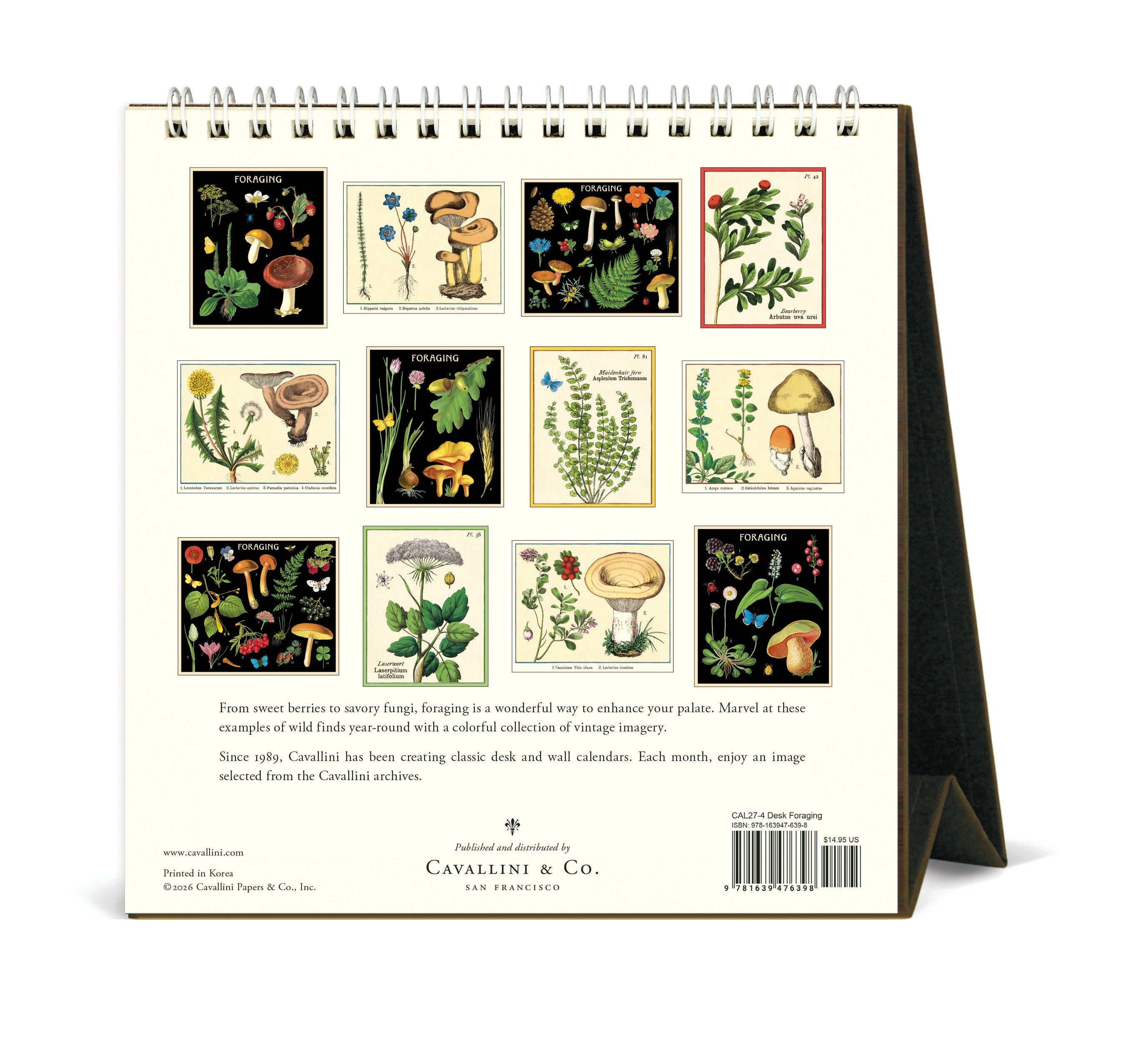 Desk Calendar - Foraging