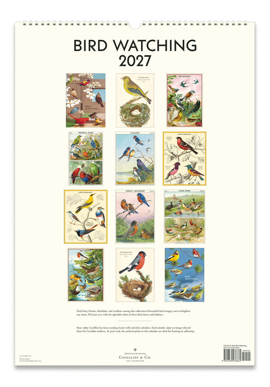 Wall Calendar - Bird Watching