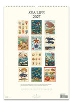 Wall Calendar - Sea Life