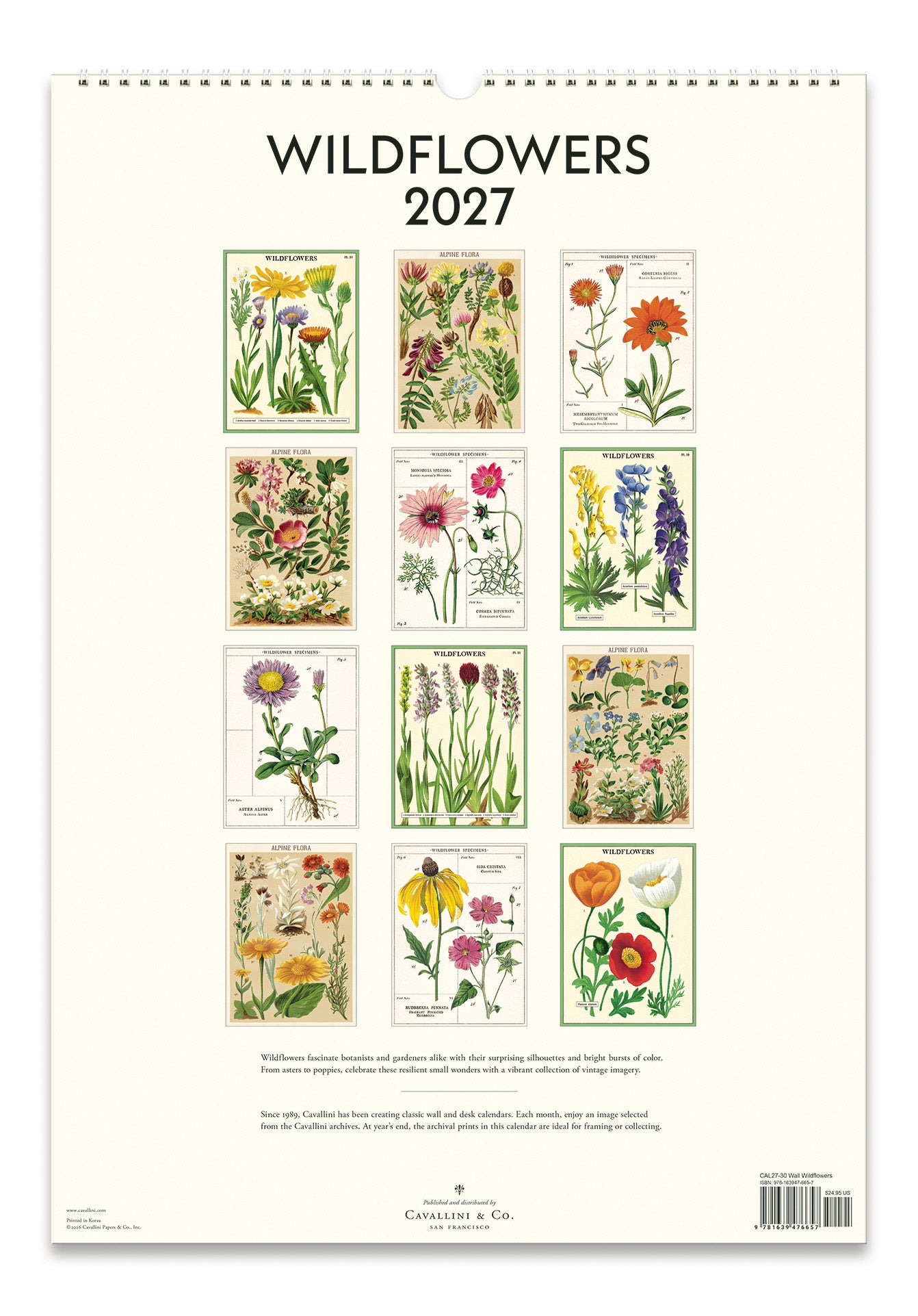 Wall Calendar - Wildflowers