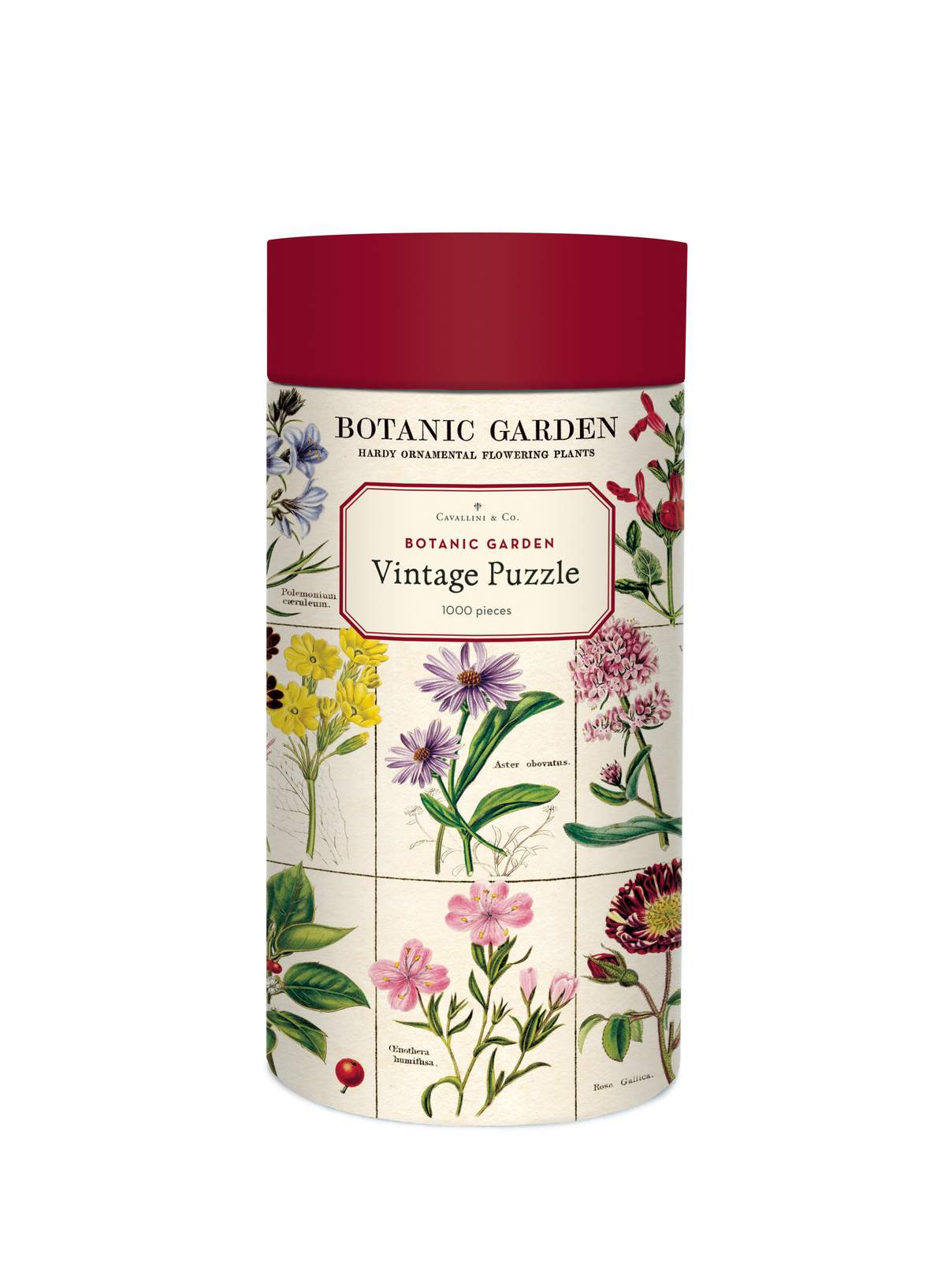 Jigsaw Puzzle - Botanic Garden