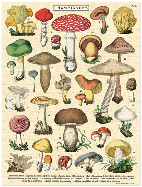 Mini Jigsaw Puzzle - Mushrooms
