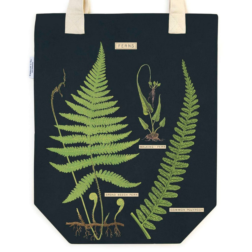 Tote Bag - Ferns