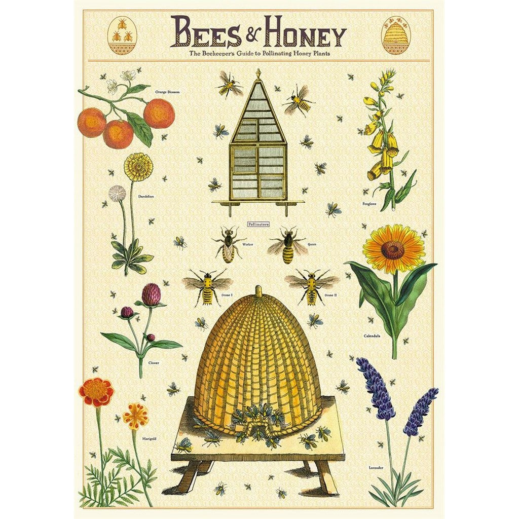 Poster - Bees & Honey 2