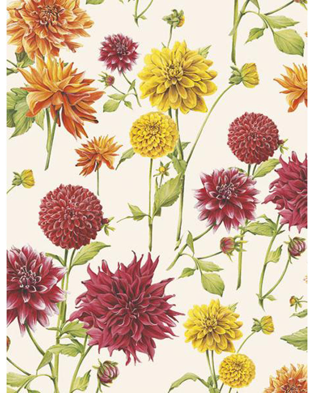 Wrap - Dahlia
