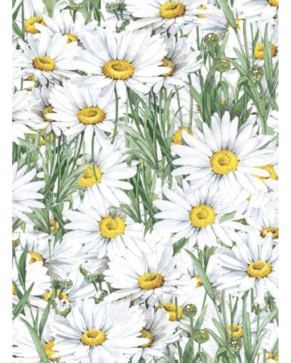 Wrap - Daisies
