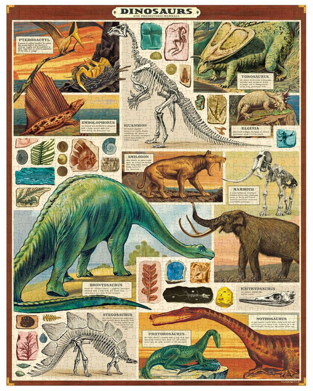 Jigsaw Puzzle - Dinosaurs