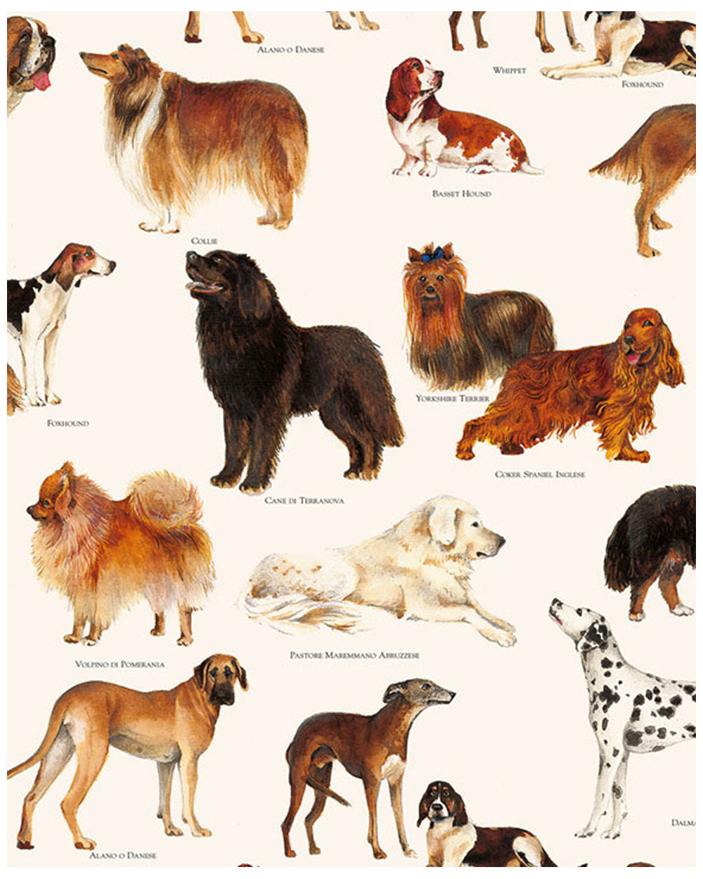 Wraps - Dogs
