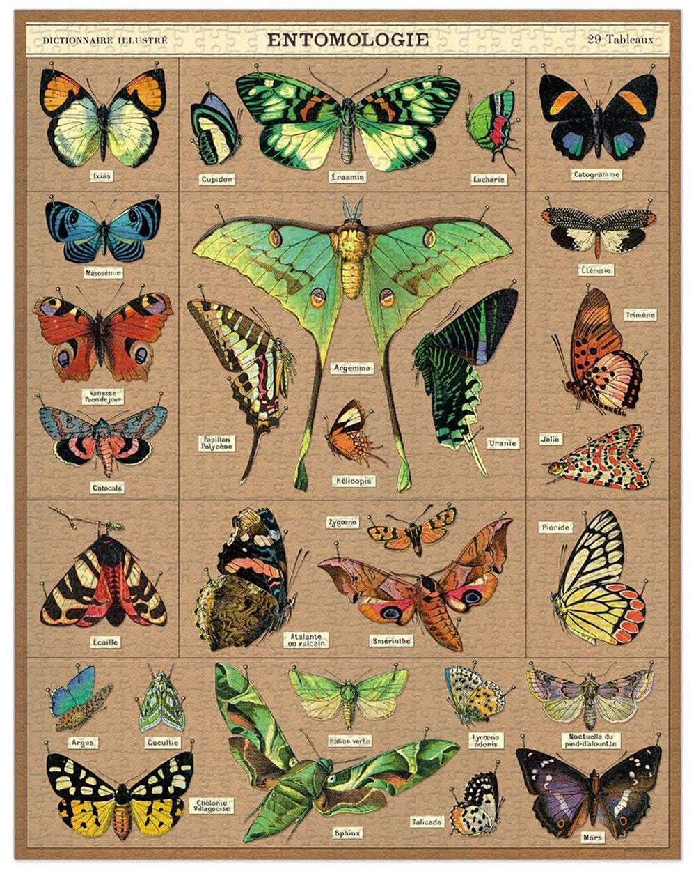Jigsaw Puzzle - Entomology