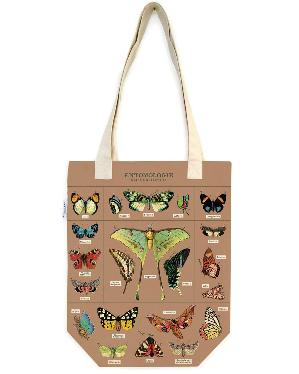Tote Bag - Entomology