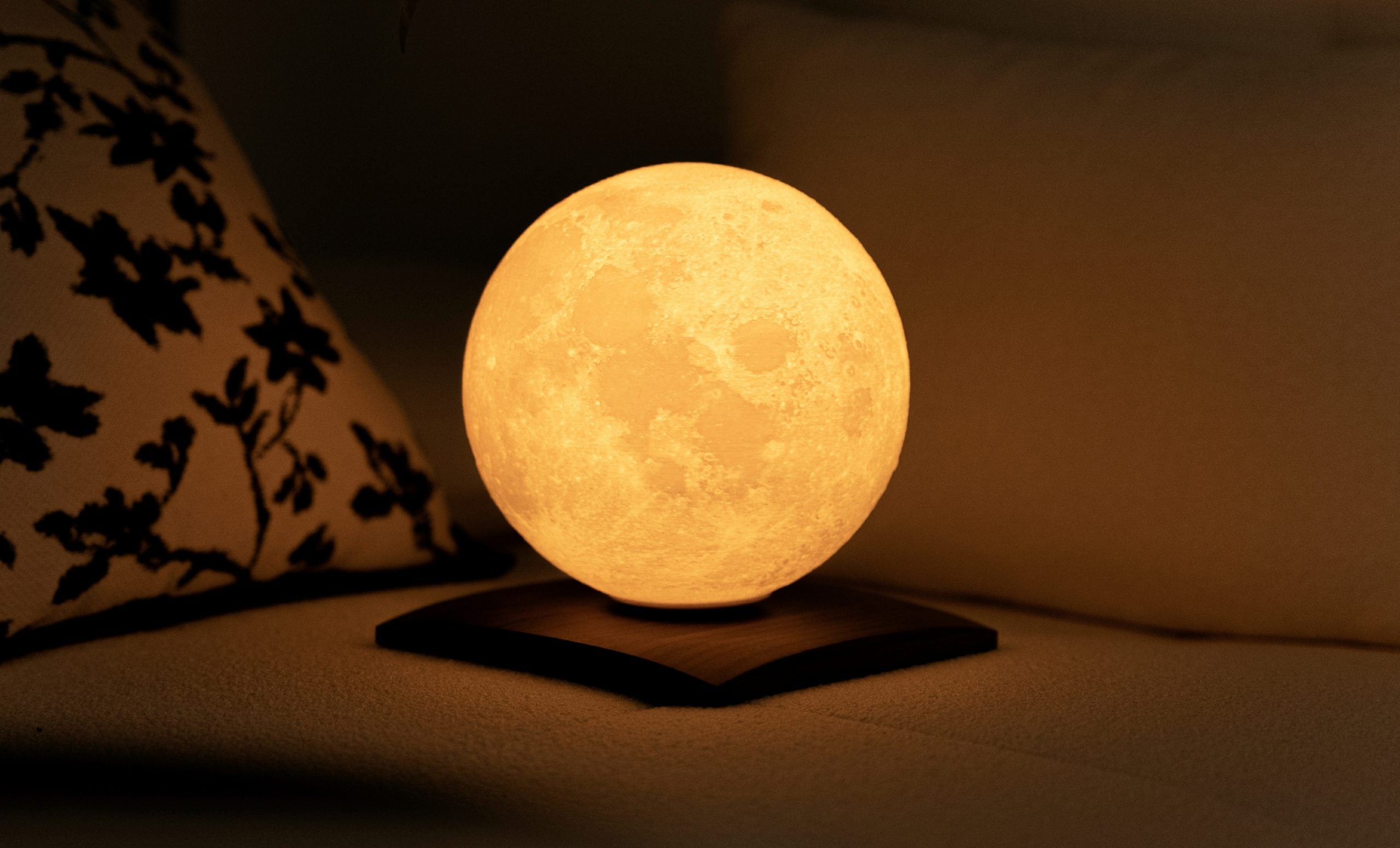 1 Gingko - Walnut - Mini Smart Luna Spin LED Lamp