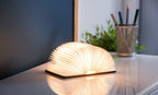 1 Gingko - Walnut - Mini Smart LED Booklight